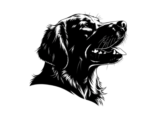 Black Retriever Dog Head Silhouette Review