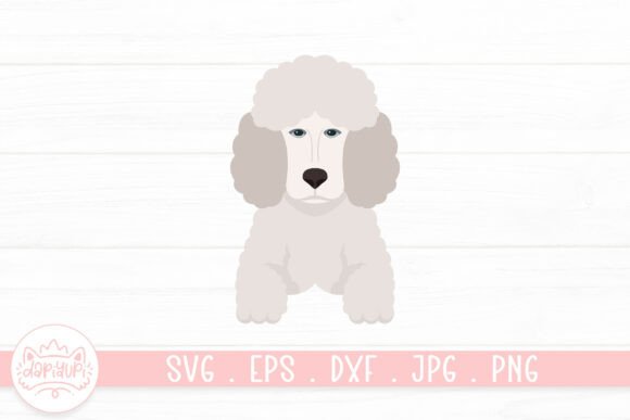 Poodles Dog Clipart Review